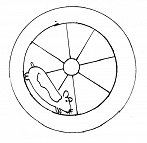 op.6 - slika 2 miska v krogu
